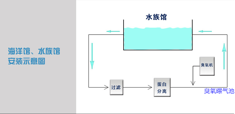 海洋館過濾，蛋分，臭氧，曝氣池.png